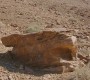 Oued-guelb-1