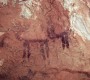 Oued-guelb-2