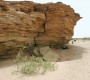 T3-el-farsia-2