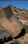 anou_el_hadj_05.jpg anou_el_hadj_05.jpg