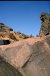 anou_el_hadj_06.jpg anou_el_hadj_06.jpg
