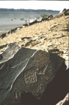 anou_el_hadj_11.jpg anou_el_hadj_11.jpg