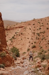 at_arbi_2.jpg