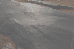 bovid_aux_sabots_07.jpg