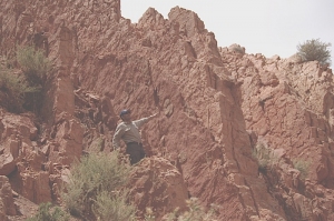 coprolhites.jpg
