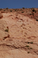 dsc_0007.jpg