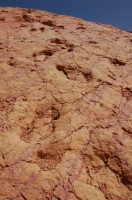 dsc_0008.jpg
