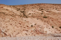 dsc_0011.jpg