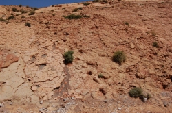 dsc_0012.jpg