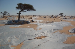 dsc_02.jpg