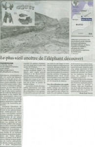elphant_phosphate.jpg