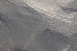 humanode_77.jpg