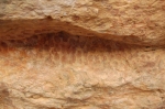 ifran_taska_4.jpg