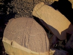 metgourine_10.jpg
