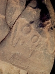 metgourine_6.jpg