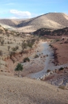 taoura_01.jpg