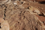 taoura_05.jpg