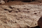 taoura_06.jpg
