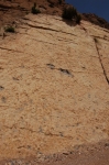 tourza_02.jpg