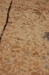 tourza_03.jpg