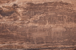 dcheirat_02.jpg