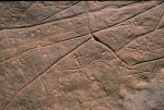 foum_er_jram_06.jpg