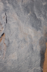 giraffe_54.jpg