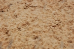 tourza_06.jpg