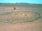 66-oued-zguid.jpg