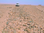depart_de_la_grande_allee_dallee.jpg
