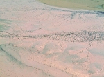 deux_ma_sur_le_relief_dune_terrasse.jpg