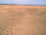 jorf_lemarmouta-04-vue_sur_le_corps_dun_ma.jpg