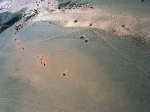 ma_garni_de_deux_tumulus_au_coeur.jpg