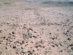 oued_bougjouf-3-am_assez_degrade.jpg