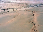 petit_ma_isole_sur_une_terrasse.jpg