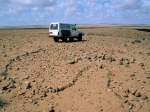 petit_tumulus_en_tete_du_goulet.jpg