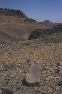 siroua10.jpg