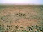 ts_avec_des_lobes_tres_ramasses.jpg