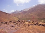yagour2.jpg