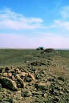 48_seguiet_el_hamra.jpg