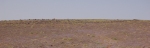 dsc_0253.jpg