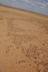 tyichat_36.jpg