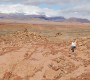 02.dsc 0037