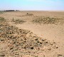 Detail De La Rangee De Tumulus
