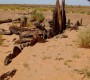 Dsc 0092
