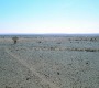 Oued Bougjouf-9-am Plus Etroit Par Rapport Aux Autres