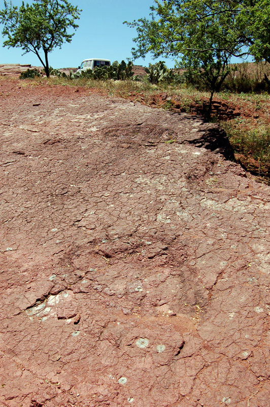ait-mimoun-0312.jpg