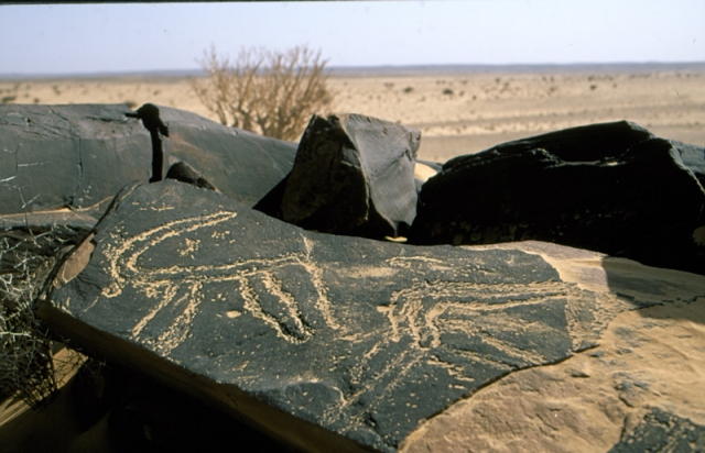 smara_07.jpg