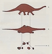 3b.jpg