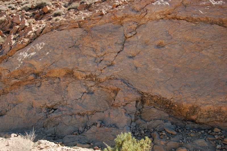 dsc_0204.jpg